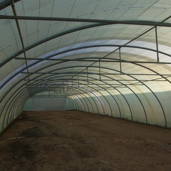 Agricultural Single Span Greenhouse Flowers And Vegetables Poly Film Greenhouse