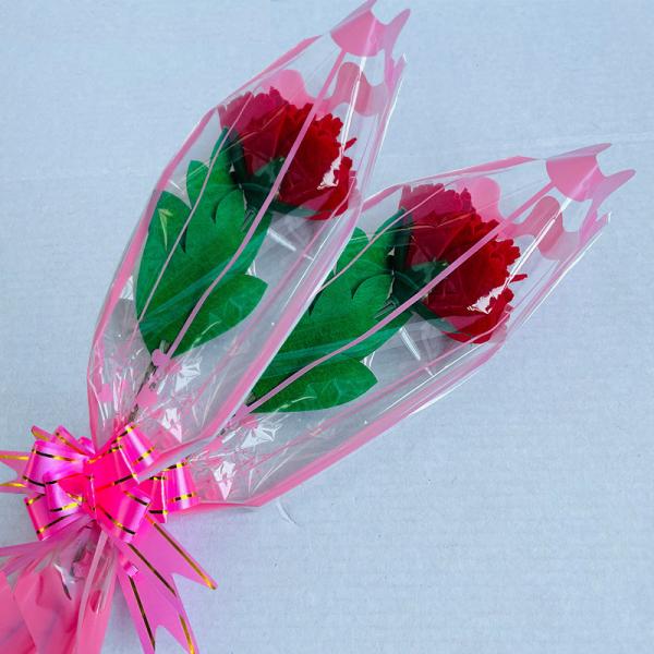 Kit de artesanía de flores de feltro sin costura para el Día de la Madre - Bouquet de claveles para niños, regalo preescolar