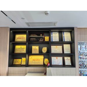 Guangdong Sky Bright Group Co., Ltd.