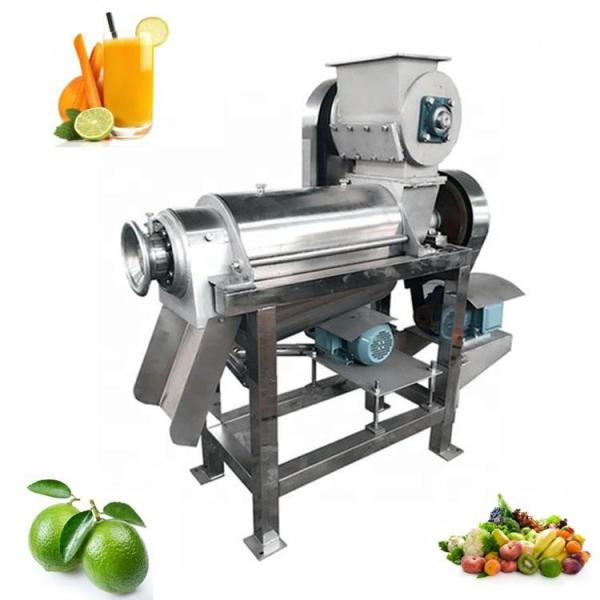 304 steel Apple Juice Processing Machine / Apple Juice Press Machine 220V/380V