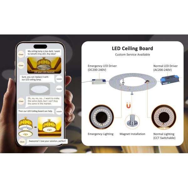 Customized Dimmable LED Ceiling Lamp Energy Saving 100V-220V