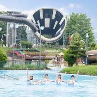Hot Sale Fiberglass Pool Water Slide Space Bowl Water Slide Traditional Water Slide