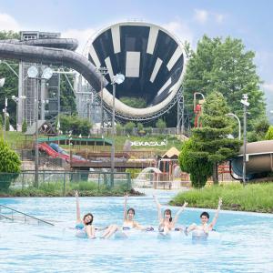 Hot Sale Fiberglass Pool Water Slide Space Bowl Water Slide Traditional Water