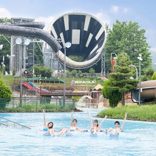 Hot Sale Fiberglass Pool Water Slide Space Bowl Water Slide Traditional Water Slide