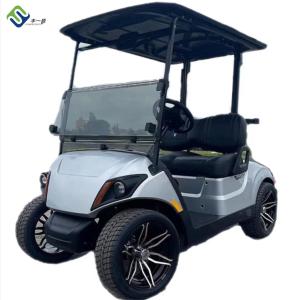 Nouveau chariot de golf électrique de 2 places LSV pour la couleur de plage