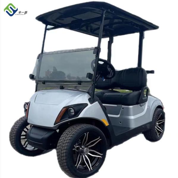 New 2 Seater Electric LSV Golf Cart For Beach Color Customized