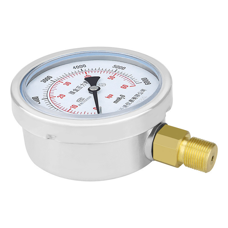 Customizable 304ss Stainless Steel Case Hydraulic Capsule Micro Pressure Gauge YE100