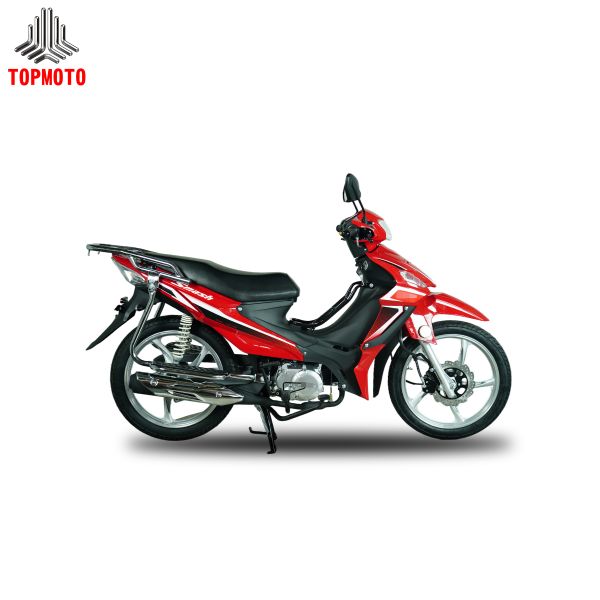 125cc Horizontal Air-Cooled Enduro Motorcycle with Electric & Kick Start and 4-Speed Automatic Clutch