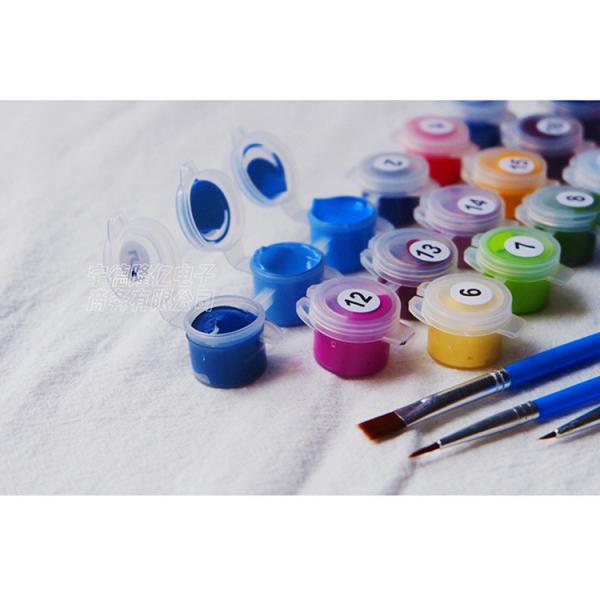 Digital Printing Oil Paints Art Canvas Portrait Kits for Creative Home Hotel Decoration