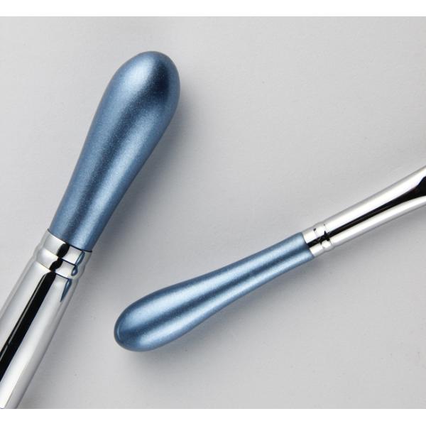 Le voyage de brosse de maquillage de 7 morceaux a placé avec la poignée de forme d'aubergine