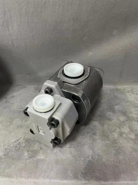 UCHIDA REXROTH AP2D21LV1RS6-987-2 hydraulic double gear pump pilot pump for Excavator