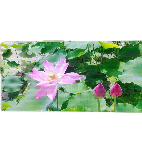 SDK RGB наружный водонепроницаемый светодиодный экран, практичный наружный цифро