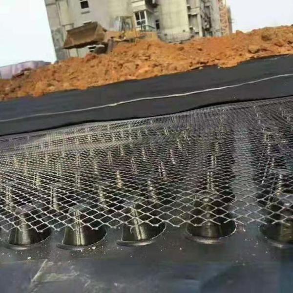 Driveway Drainage Made in Plastic Drainage Board for Greening Municipal Construction