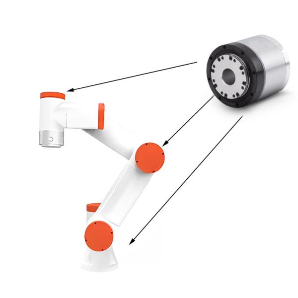 Faradyi Custom Harmonic Nema17 Frameless Reducer Bldc Servo Drive Reducer Motordc Motor 12V High Torque For Robot Arm