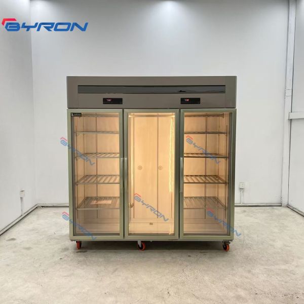 Commercial Vertical Meat Hanging Refrigerator For Pig Beef Lamb