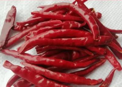 Tasty Spice Seasoning Yunnan Dried Red Chilli Peppers Non - Sulfur