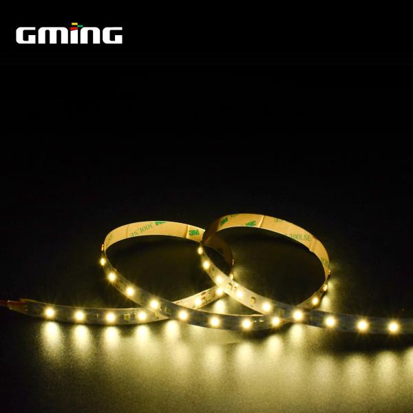Escalator SMD 2835 LED Strip Belt Outdoor Indoor Lighting 12V 24V