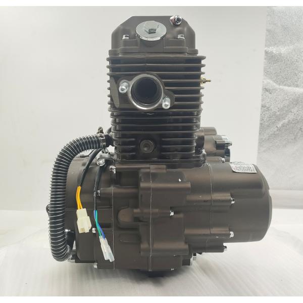Max.Power 10.2/8000 Gasoline Tricycle Engines Assembly from DAYANG for Chinese Motorcycles