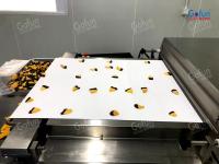 Ligne de production de transformation des légumes séchés Économie d'énergie