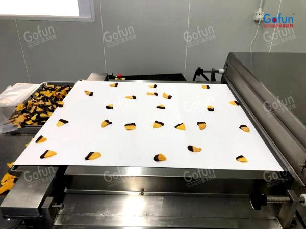Máquina de la línea de producción de vegetales secos ahorrando energía y respetuosa con el medio ambiente