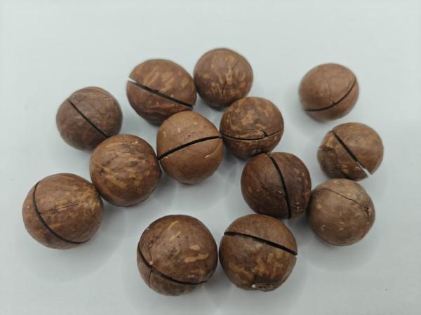 Delicious Natural Macadamia Nuts From In Plastic Bag