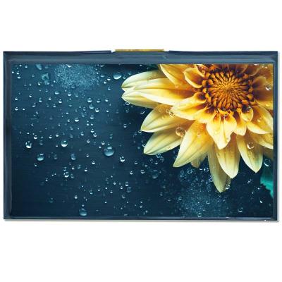 Medical 7 Inch LCD Display Panel IPS LVDS Interface Brightness 650 Nits