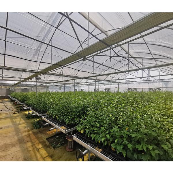 Hot Dipped Galvanized Steel Pipe Greenhouse Vent for Open Ventilation and Ridge Roof