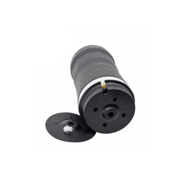 Задний варочный мешок подвеса весны воздуха для класса В251 Р320 Р350 Р500 А2513200025 А2513200325 А2513200425 Бенз р Мерседес