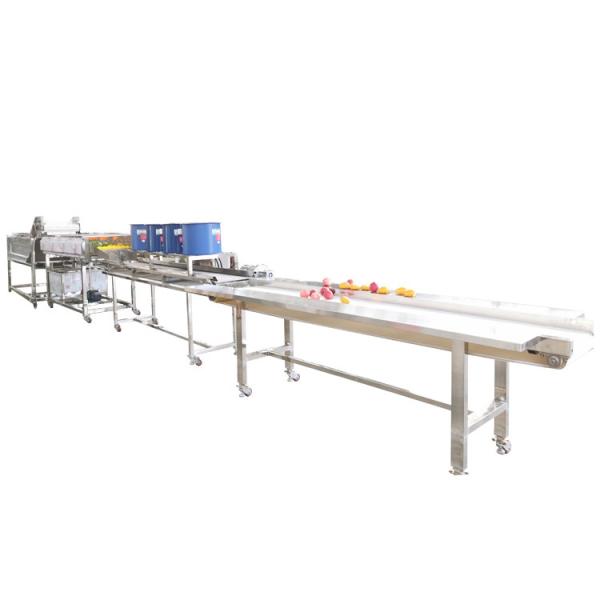 Hot selling Peeling And Cleaning Conveyor Cutting Machine by Huafood