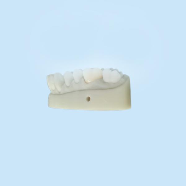 OEM 3D напечатал зубоврачебный дизайн CAD CAM моделей для лаборатории Denture