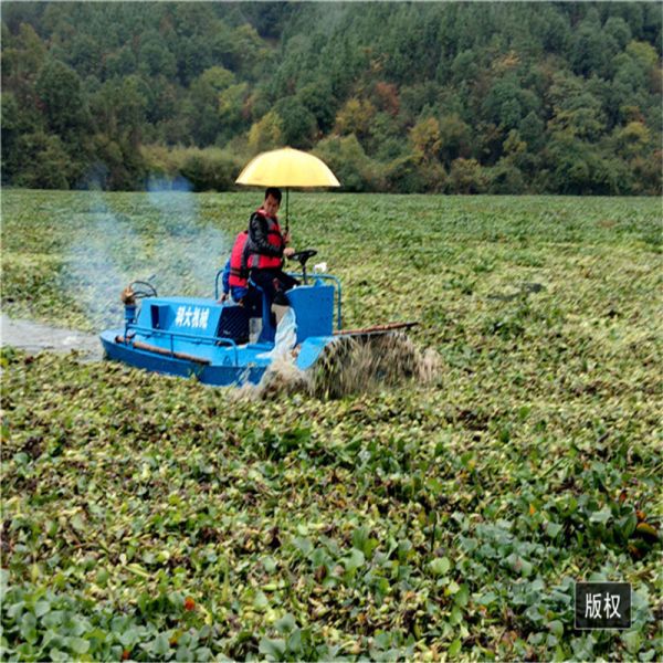 High Efficiency Aquatic Weed Harvester with Paddle Wheel Drive and 2000 m³ Capacity
