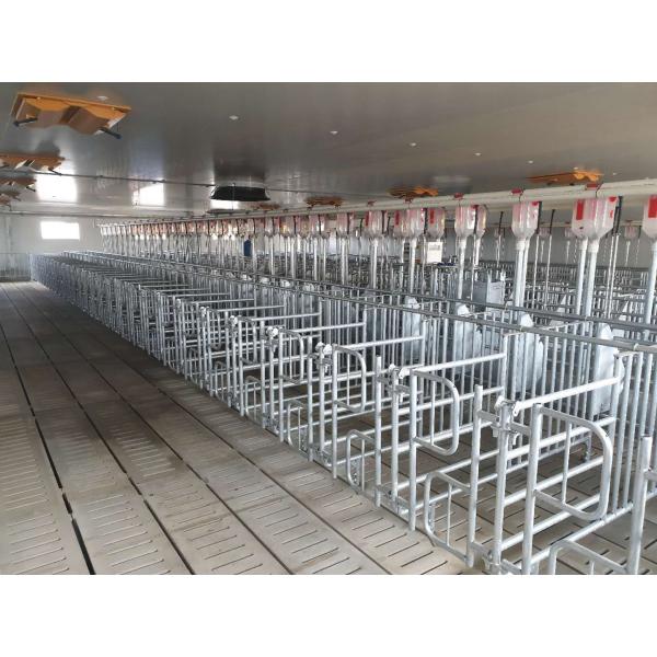 Construcción de un cobertizo de pollo