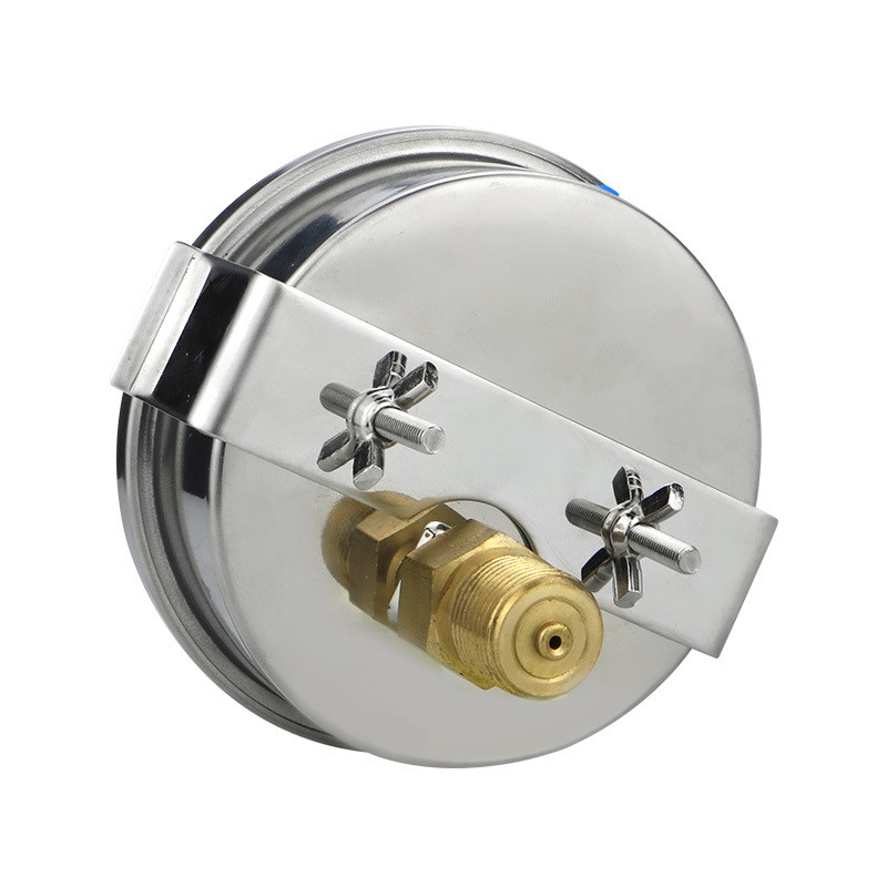 OEM Supported 6bar 100mm Back Connection Manometer for Water/Oil/Gas Pressure Gauges