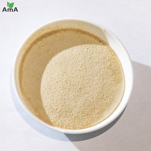 Compound Amino Acid Powder 45% For Plants Foliar Spray Flushing Drip Irrigation