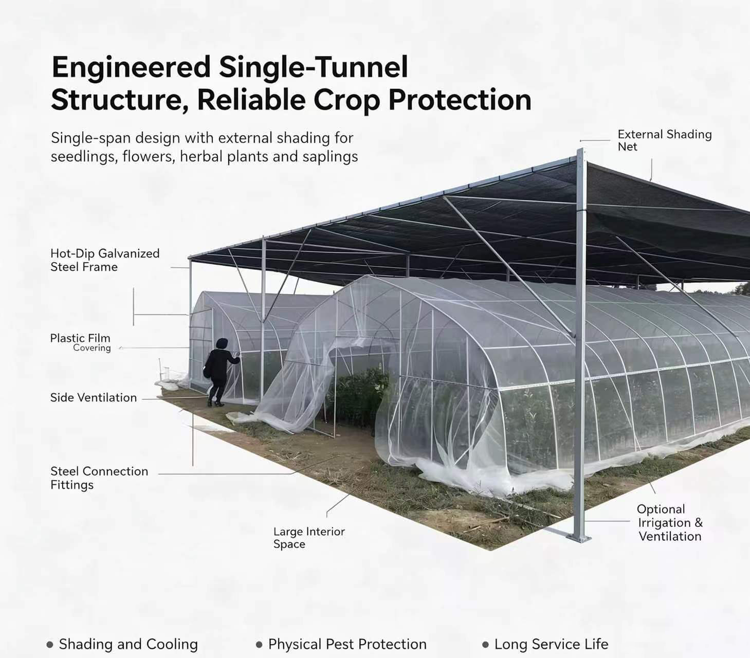 SingleTunnel Greenhouse single-span greenhouse ideal for seedling breeding flower cultivation herbal planting and sapling growth