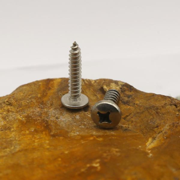 Stainless steel self-tapping screws customized