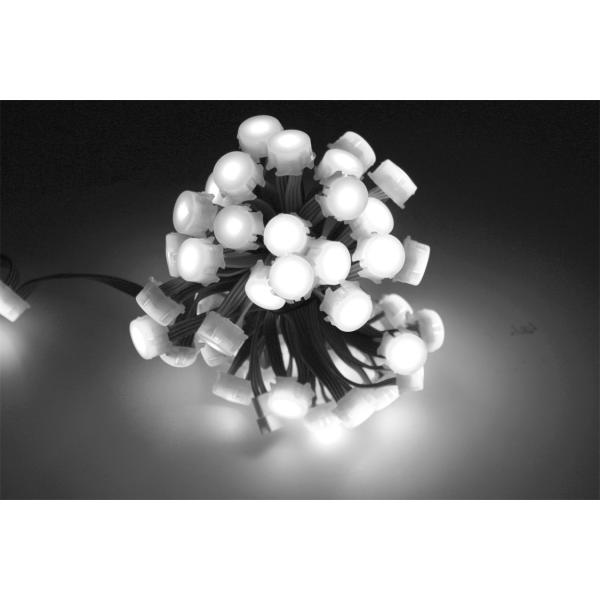 0,3 Вт RGB 20 мм водонепроницаемый светодиодный точечный светильник DC5V 12V SMD5050 IP67