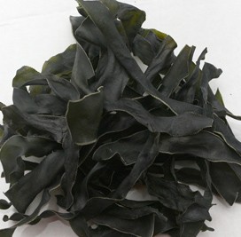 Supply Tasty Food Chuka Seaweed Dried Wakame Suitable for NORMAL Gourmet Experience