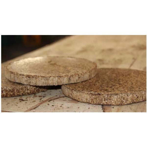 750Kg 5.5kg/Batch Hydraulic Oil Press Machine Hot Cold Model 1500W