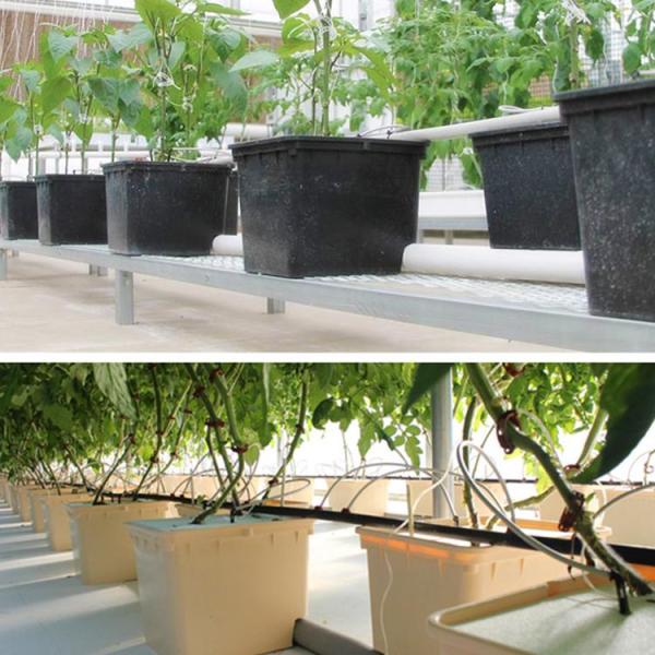 PE Coated Accessories Rectangular Plastic Dutch Bucket for Hydroponic Tomato Growing