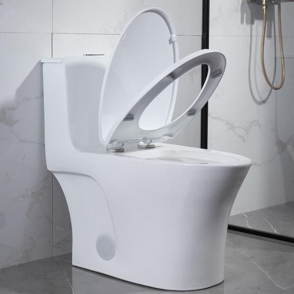 Dual Flush One Piece Elongated Toilet Matt Black S Trap