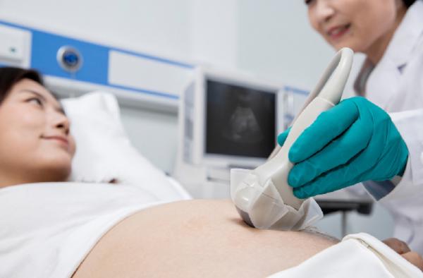 MDR Probe Covers Disposable Sterile Approval Ultrasound Transducer General Purpose ISO 13485