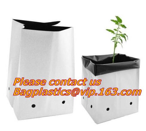 nonwoven Fabric Biodegradable Grow Bag/ grow pot, Felt Material and Grow Bags Type Planter Wall Grow Bag