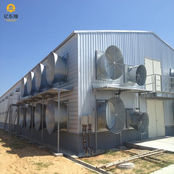 Galvanized Steel Structure Poultry House for 20 Chickens