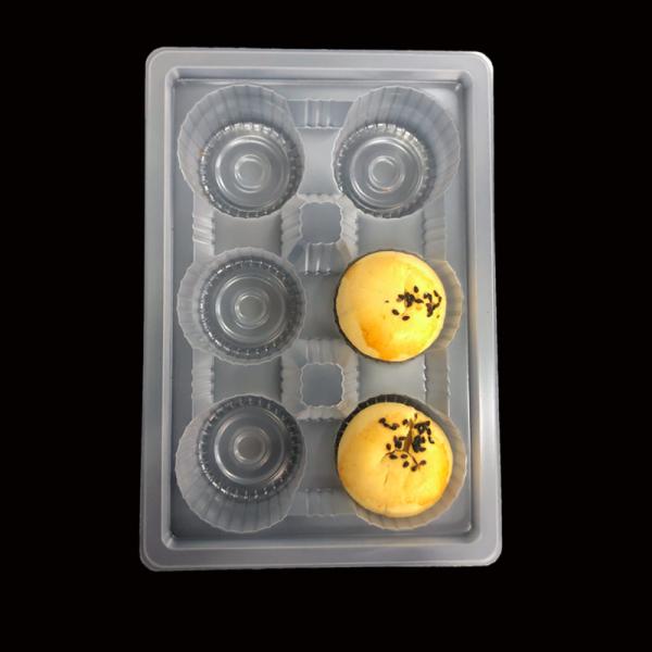 Food Grade PP Blister Tray for Frozen Food Storage