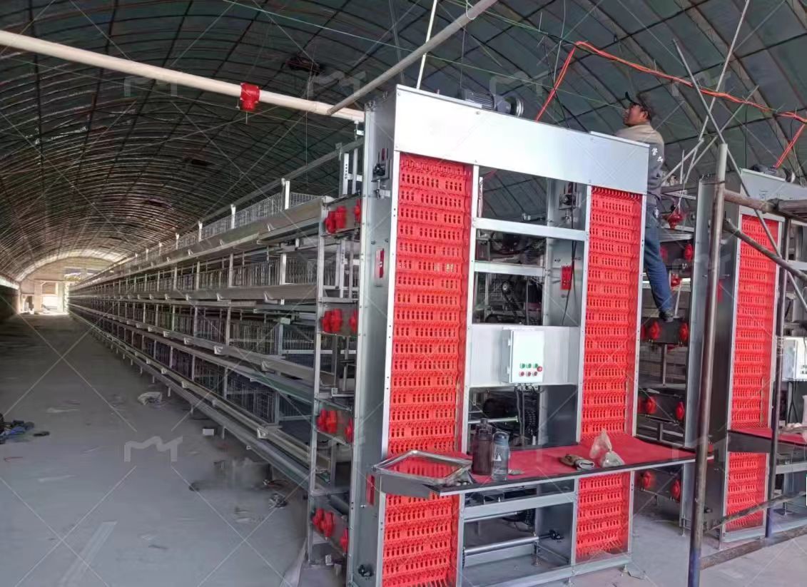 Hot DIP Galvanized 3-Tier Stacked H-Type Poultry System with Excellent Ventilation for Brooder Cage