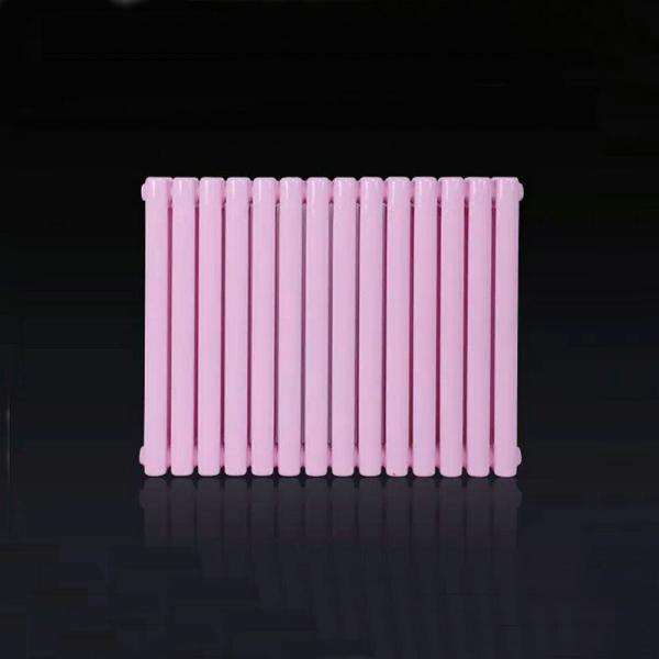 Antique and Luxuriant Decorative Cast Iron Radiator for Domestic Water Central Heating