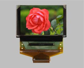 OLED Display Module