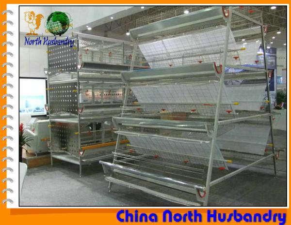 Poultry equipment for chicken farming Tecno Poultry Equipment