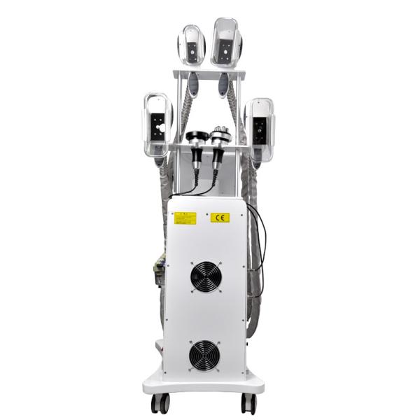 Gros gel Cryolipolysis de SME amincissant l'OEM de la machine 800W